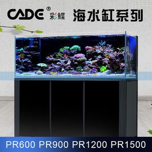 cade 魚缸：cade魚缸價格cade魚缸評價