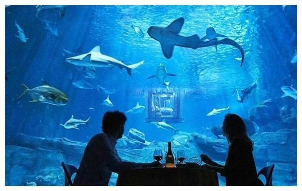 開一家水族館賺錢嗎知乎：開設水族館的盈利前景如何