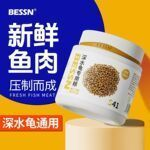 豬鼻龜?shù)膬r格走勢：豬鼻龜價格與品相、血統(tǒng)、血統(tǒng)、血統(tǒng)、年齡等因素有關(guān)