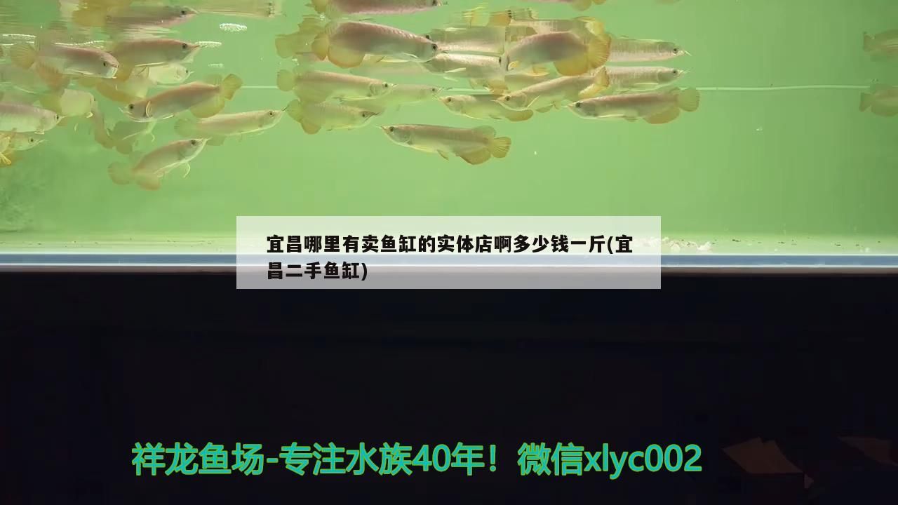 宜昌哪里有賣魚缸的實(shí)體店啊多少錢一斤(宜昌二手魚缸)