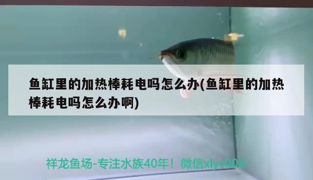 魚缸里的加熱棒耗電嗎怎么辦(魚缸里的加熱棒耗電嗎怎么辦啊)
