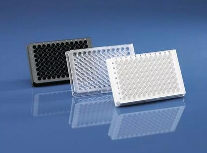 豬鼻和龍魚能不能混養一起吃(紅龍魚能跟豬鼻龜一起養嗎)