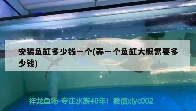 安裝魚缸多少錢一個(gè)(弄一個(gè)魚缸大概需要多少錢)