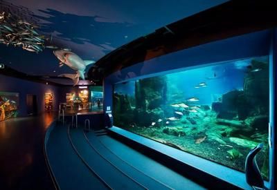 水族館是什么行業(yè)（水族館行業(yè)市場規(guī)模分析）