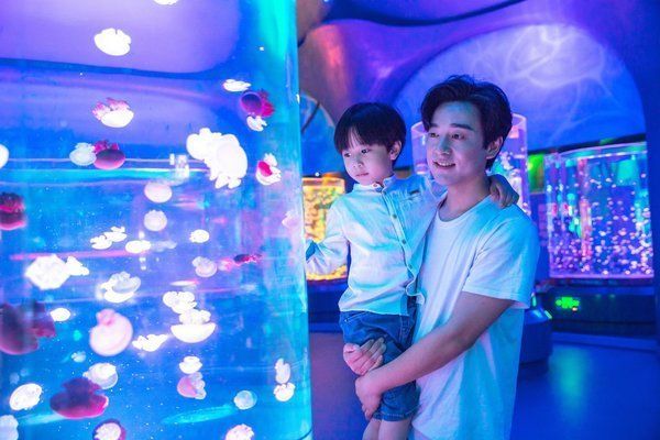 水族館的裝修效果圖（未來水族館設計的發展方向，水族館裝修效果圖的詳細信息）