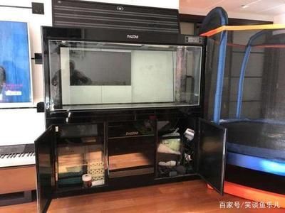 9條魚需要多大的魚缸：21篇養9條魚的魚缸尺寸養9條魚的魚缸尺寸養9條魚的魚缸規格