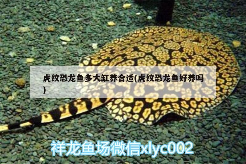魚缸設備安裝圖解大全 魚缸設備安裝圖解大全集 魚缸設備安裝圖解大全 魚缸設備安裝圖解大全集 錦鯉魚百科 第2張