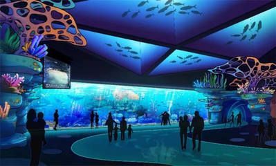 水族館施工過程：水族館施工過程的詳細信息
