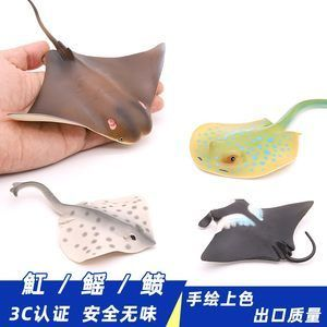 魟魚喂食器：如何選擇魟魚喂食器