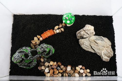 龍魚必備藥