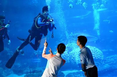 開一家水族館需要些什么？：開一家水族館需要準(zhǔn)備什么