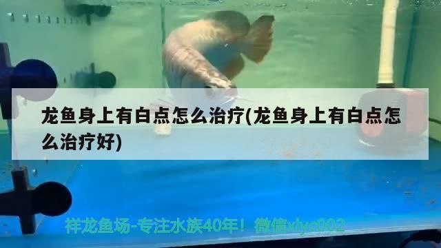 詳細(xì)閱讀:龍魚身上有白點(diǎn)怎么治療(龍魚身上有白點(diǎn)怎么治療好) 龍魚身上有白點(diǎn)怎么治療(龍魚身上有白點(diǎn)怎么治療好)