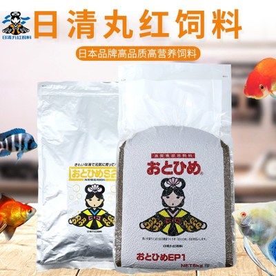兇猛的大型觀賞魚(yú)排名前十名(兇猛觀賞魚(yú)十大兇猛觀賞魚(yú))