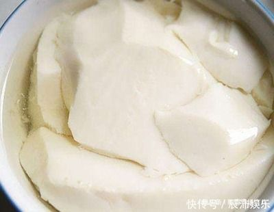 黃金貓魚飼料營(yíng)養(yǎng)搭配指南，黃金貓魚的飼料營(yíng)養(yǎng)搭配指南