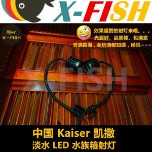 FISHTANK魚缸燈：fishtank魚缸燈的使用注意事項使用注意事項 FISHTANK魚缸燈：fishtank魚缸燈的使用注意事項使用注意事項 魚缸百科 第4張