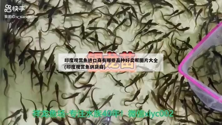 宣城龍魚vs宣城水族批發市場vs宣城水族館vs宣城魚缸批發市場vs祥龍魚場：宣城五個水族相關場所