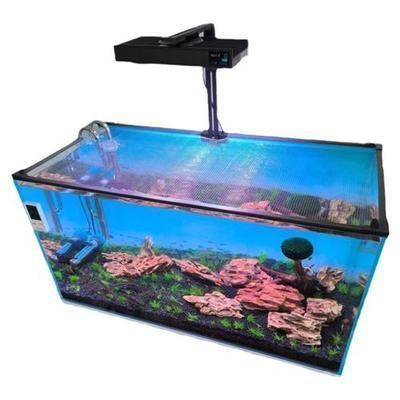 宣城龍魚vs宣城水族批發(fā)市場vs宣城水族館vs宣城魚缸批發(fā)市場vs祥龍魚場：宣城五個水族相關(guān)場所
