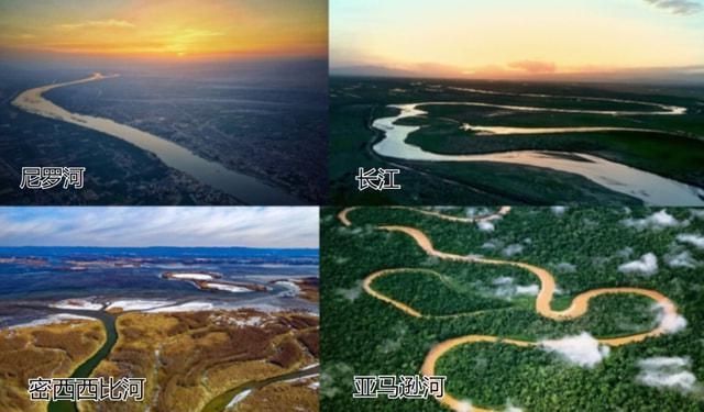 亞馬遜河魚類生態(tài)位分布，亞馬遜河的魚類生態(tài)位分布
