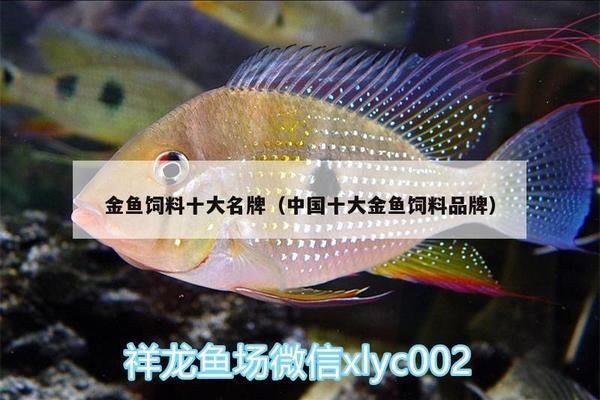 閩江龍魚缸安裝視頻教程：閩江龍魚缸安裝視頻教程，閩江龍魚缸如何安裝