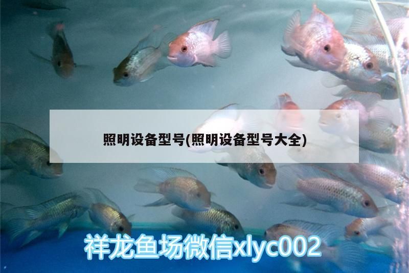 照明設備型號(照明設備型號大全)