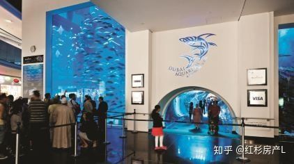 水族館一年能賺多少錢人民幣啊知乎：上海海洋水族館一年能賺多少錢人民幣的詳細分析