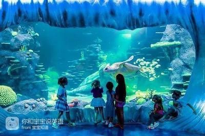 在水族館的英語：全球著名水族館排名,水族館設計的創新趨勢創新趨勢