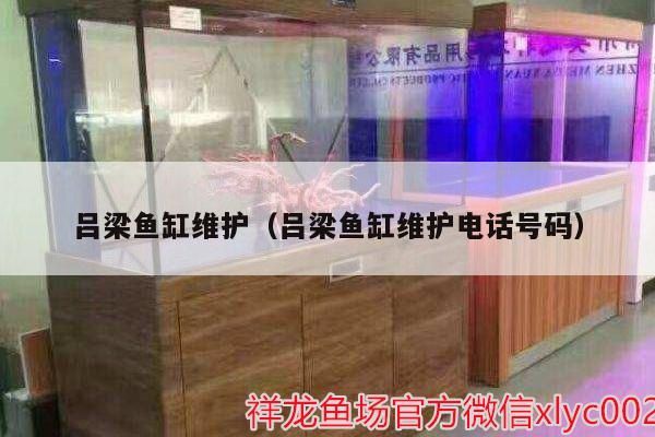呂梁魚缸維護（呂梁魚缸維護電話號碼）