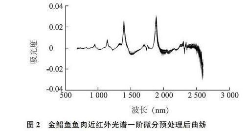 金龍魚食物新鮮度判斷技巧：如何挑選活體金龍魚