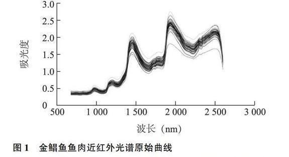 金龍魚食物新鮮度判斷技巧：如何挑選活體金龍魚
