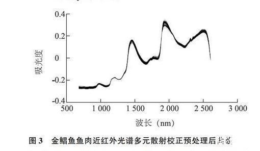 金龍魚食物新鮮度判斷技巧：如何挑選活體金龍魚