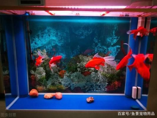 魚缸多長時間放鹽，淡水魚缸加鹽的正確方法