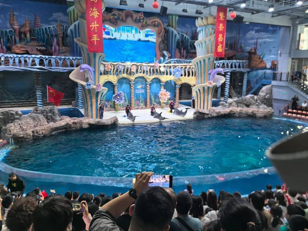 水族館行業會有發展潛力嗎知乎文章（水族館行業發展前景如何）