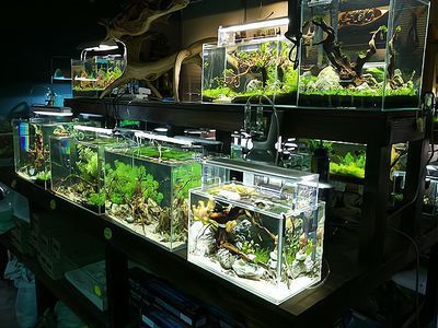 水族館生意好做嗎賺錢嗎知乎