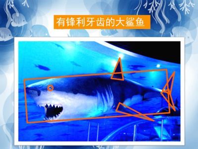 游戲 水族館：《水族館》系列游戲畫面風格對比《輕松水族館》系列游戲 游戲 水族館：《水族館》系列游戲畫面風格對比《輕松水族館》系列游戲 水族館百科（水族館加盟） 第6張