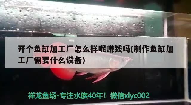 開個魚缸加工廠怎么樣呢賺錢嗎(制作魚缸加工廠需要什么設備)