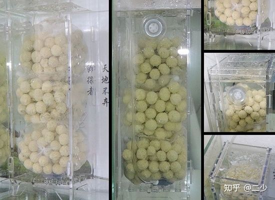 水族館魚缸過濾系統（關于水族館魚缸過濾系統的詳細信息）