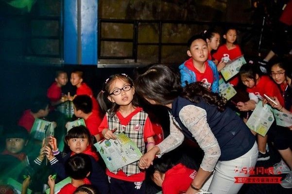夜間水族館特別活動內容