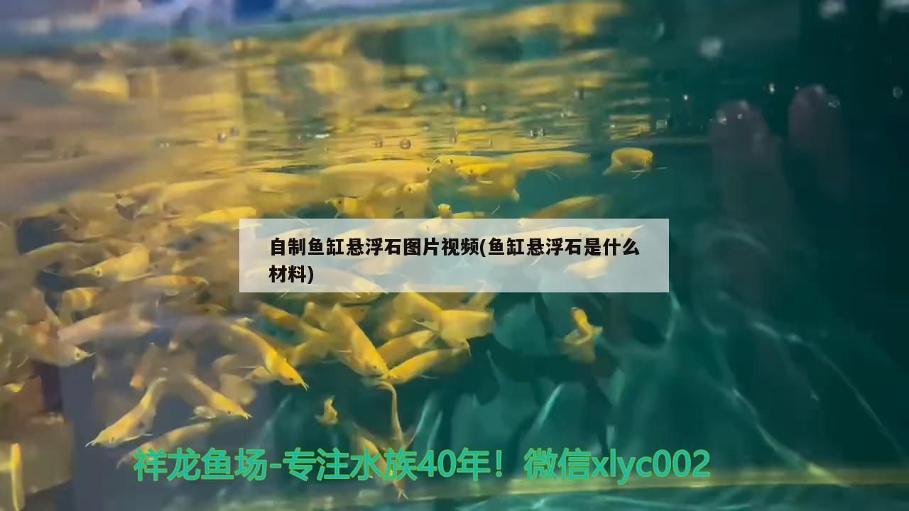 自制魚缸懸浮石圖片視頻(魚缸懸浮石是什么材料)