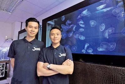 想開個水族館不知道怎么樣：開一個水族館是一個富有挑戰(zhàn)性又具有吸引力的創(chuàng)業(yè)項目