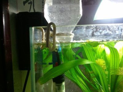 diy魚缸自動補水器怎么用：diy魚缸智能補水器的組成與使用方法
