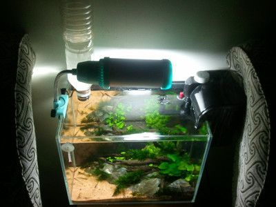 diy魚缸自動補水器怎么用：diy魚缸智能補水器的組成與使用方法