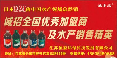 銀龍魚的飼養條件是什么(銀龍魚的養殖要求)