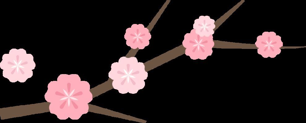 祥龍集團未來發展規劃（祥龍集團未來發展規劃旨在通過技術創新和市場拓展）