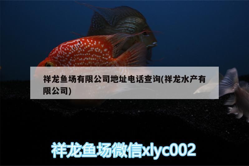祥龍魚場有限公司地址電話查詢(祥龍水產有限公司)