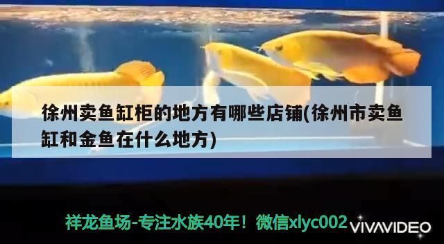 徐州賣魚缸柜的地方有哪些店鋪(徐州市賣魚缸和金魚在什么地方)