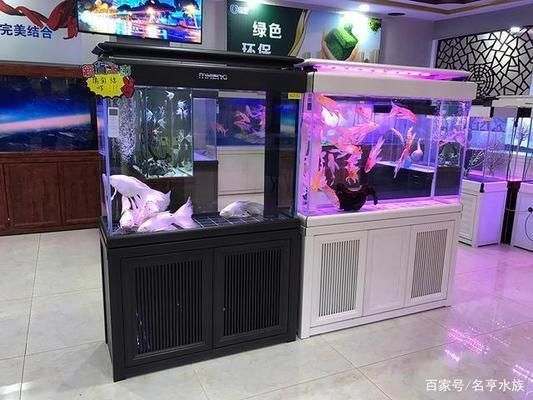 開一個水族館一年能賺多少錢啊：開設一個水族館的盈利能力受多種因素影響，水族館商品銷售策略