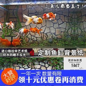 龍魚魚缸壁紙圖片，龍魚魚缸壁紙圖片是什么？