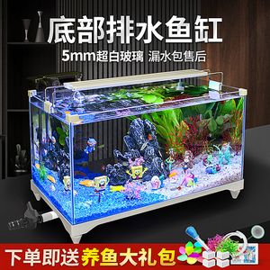銀龍魚掉了一片魚鱗會(huì)不會(huì)死(銀龍魚掉鱗片會(huì)死嗎)