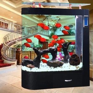 1米高的魚缸怎么造景：一米高的魚缸造景的基本步驟和注意事項