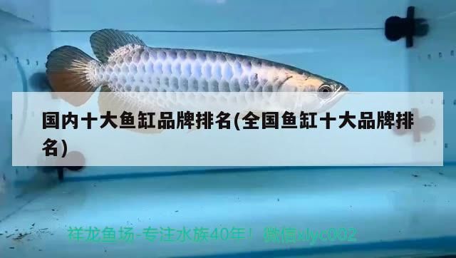 國內(nèi)十大魚缸品牌排名(全國魚缸十大品牌排名)